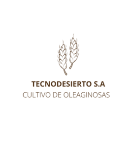tecno