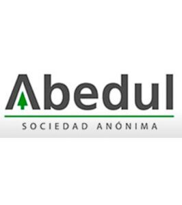 abedul